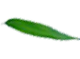 thiên long du long